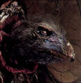 Thumbnail for version as of 20:14, January 19, 2006