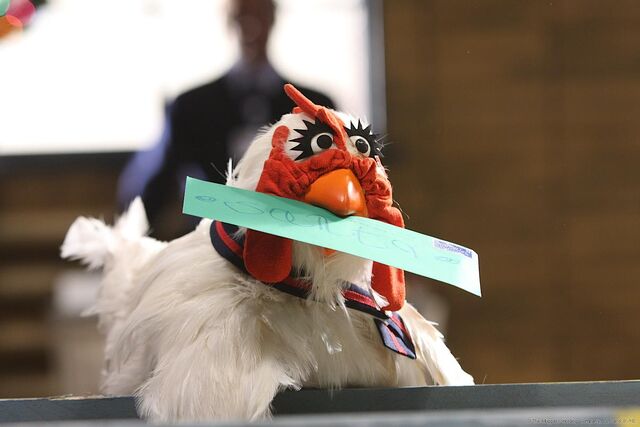 File:LTS-Chicken-USPS-Worker.jpg