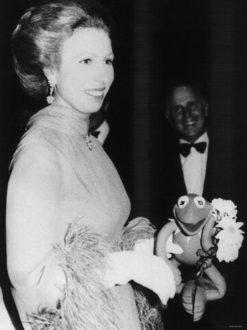 File:Princess anne -kermidoll.jpg
