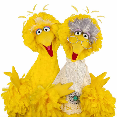 File:BigBird-and-GrannyBird.jpg
