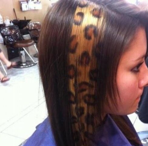 File:Igotmyhairdyed.jpg