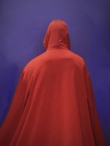 File:Noblestarrprofile.png