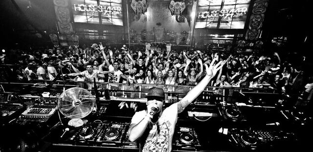 Datei:DJHouseshaker.jpg