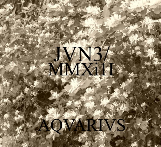 File:2. JVN3-MMXi1I.jpg