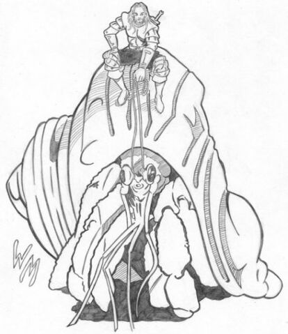 File:Hermitcrab.jpg