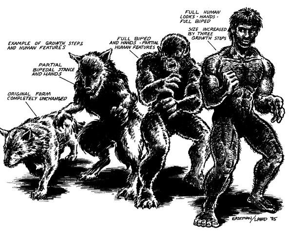 File:TMNTAnimalHumanHybids.png