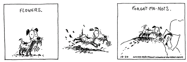 File:102094.gif
