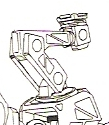 T00 shoulder limb