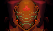 Enclosed IRG Helmet
