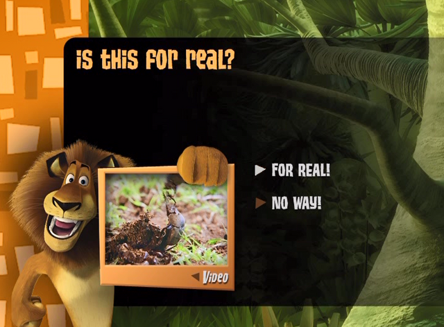 File:BequalMadagascarTrivia172.png