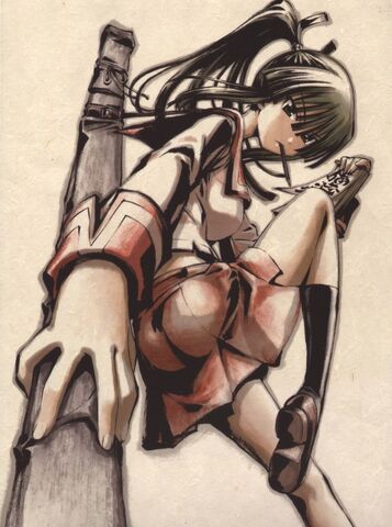 File:Akeno Shiranui.jpg