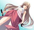 Thumbnail for version as of 05:12, February 10, 2012