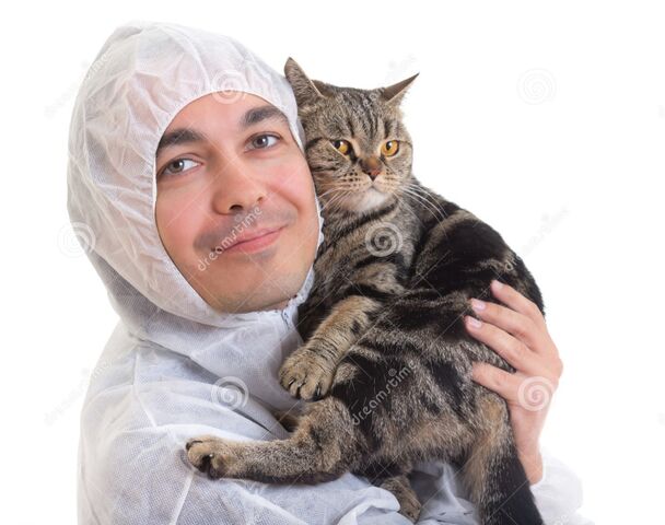 File:Man-protective-clothing-holding-cat-isolated-25363714.jpg