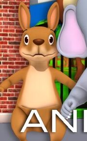 LBB Kangaroo