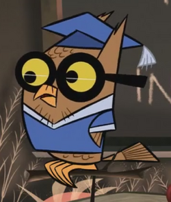 Owl Professor