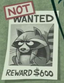 Larry Raccoon