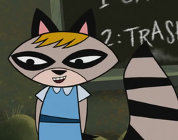 Raccoon Teacher