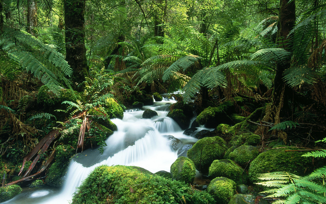 File:Wikia-Visualization-Add-1.png