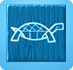 Turtle b