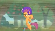 Scootamatrix