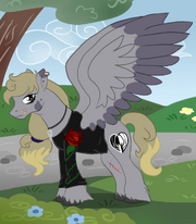 Gray Days w parku by Paulina0606.png