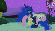 Luna Fluttershy embrassade S02E04.png