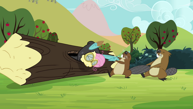 Fichier:S3E05 Fluttershy sur mission.png
