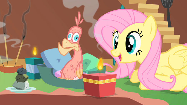 Fichier:Philamena zen avec Fluttershy S1E22.png