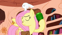 Fluttershy holding a gem S3E11 (Promo).png
