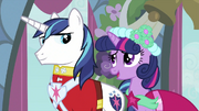 Twilight talking to Shining Armor 2 S2E26.png