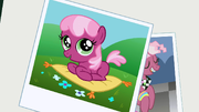 Picture of filly Cheerilee S1E12