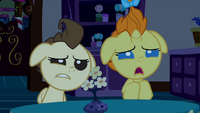 Baby Cakes wondering what Pinkie is doing S2E13.png
