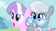 180px-Diamond Tiara and Silver Spoon surprised S02E06.png