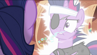 Future Twilight disappearing S2E20
