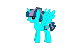 Princesswaterwishes