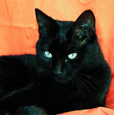 File:Night.jpg