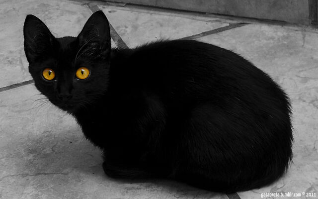 File:Crowstripe.jpg