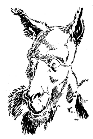 My056-12MW-Gerrek-b.png