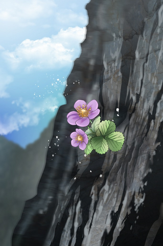 File:Common 1.png