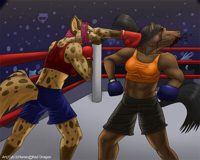 RedDragon56-Fight-small