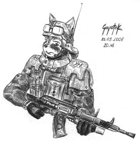 File:Cat soldier by coyotek.jpg