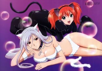 Rosario-vampire-neko-rosario-vampire-6558433-599-414
