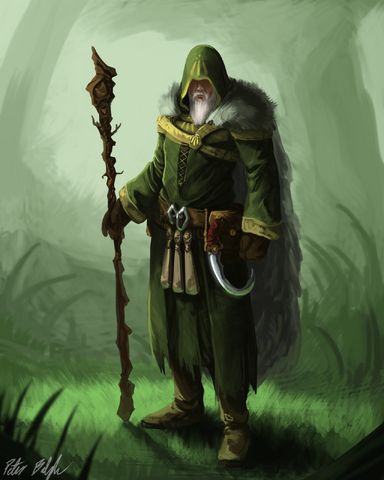 File:Druid concept by peterprime-d64aybd.png