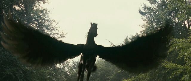File:Pegasus4.jpg