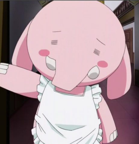 Datei:Panako.png