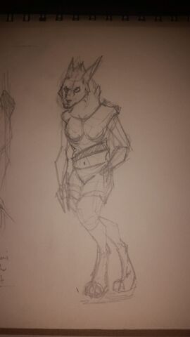 File:DakaiFemaleInitSketch.jpg