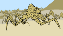 Desert Thorn Spider