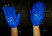 Singhorn hands