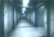Hallways 1