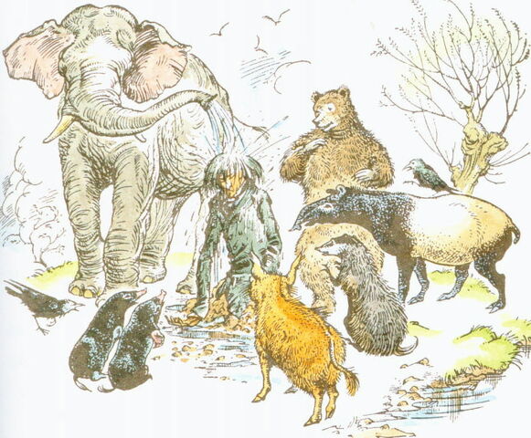 File:Andrewwatered.jpg